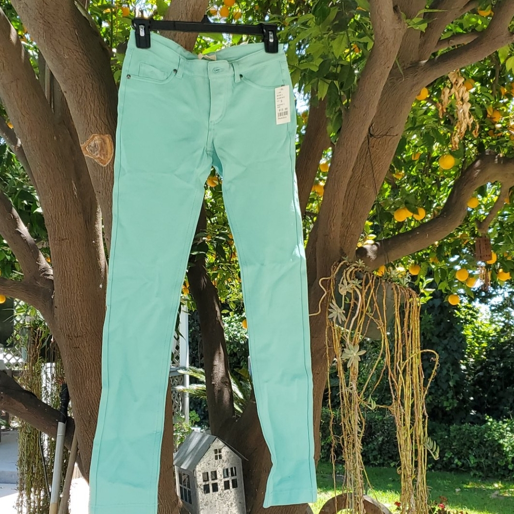 Pants
